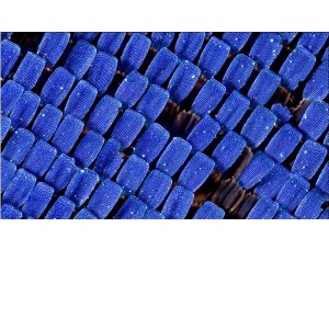 FOMEI Archival Gloss 265 Cat 2
